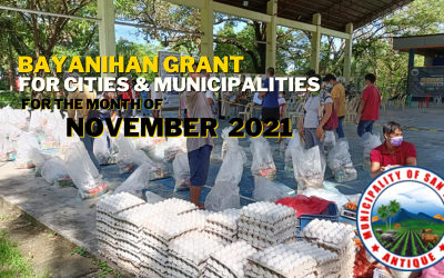 BAYANIHAN GRANT TO CITIES AND MUNICIPALITIES TRANSPARENCY REPORTS FOR NOVEMBER 2021